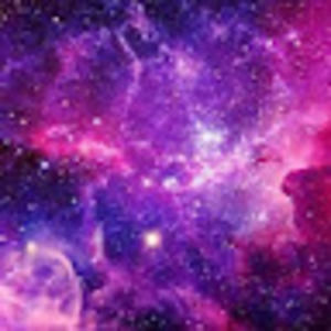 Meet your Posher, Ash